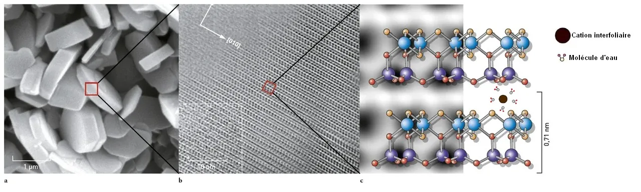 Coupe microscopique d'un feuillet d'argile gonflante