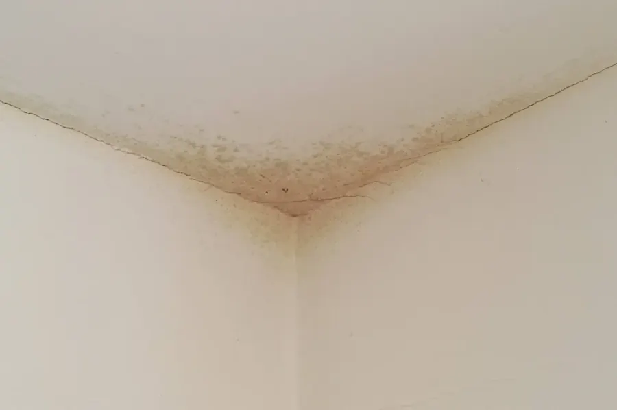 Moisissures dans un angle de mur (pont thermique + humidité)